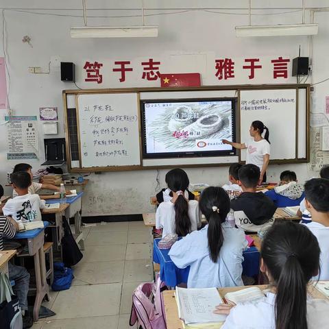 说课绽魅力，教研促发展——宁陵县第三实验小学