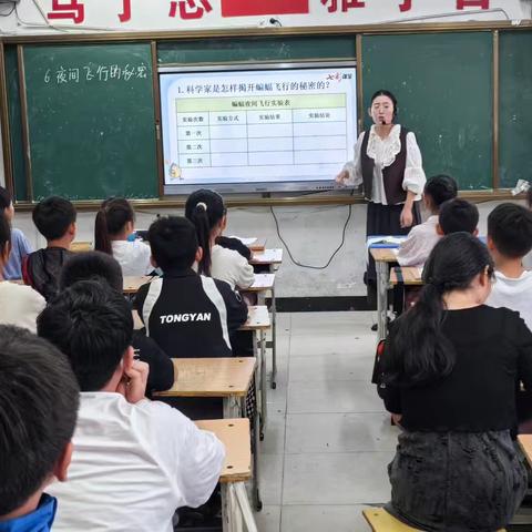 公开课上展风采，在探索中成长——《夜间飞行的秘密》宁陵县第三实验小学