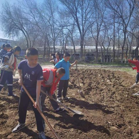 学种粒粒种     生成棵棵苗