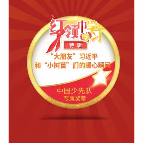 红领巾爱学习---第五季特辑