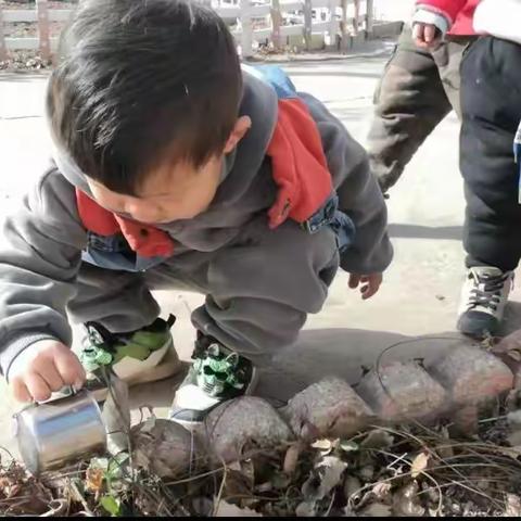 “🌿寻找春天–我眼中的春天🌱”——🌸汀流河张王庄幼儿园🌸寻找春天活动