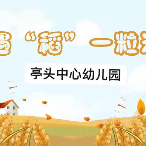 《遇“稻”一粒米》——亭头中心幼儿园大一班班本课程