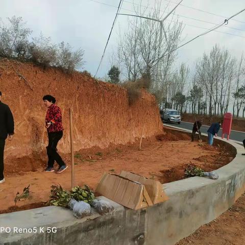 天池镇植树添绿增新颜