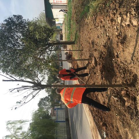 天池镇持续开展道路美颜工程  提升人居环境质量