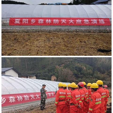 【秀美夏阳】夏阳乡组织开展秋冬季森林防灭火应急演练