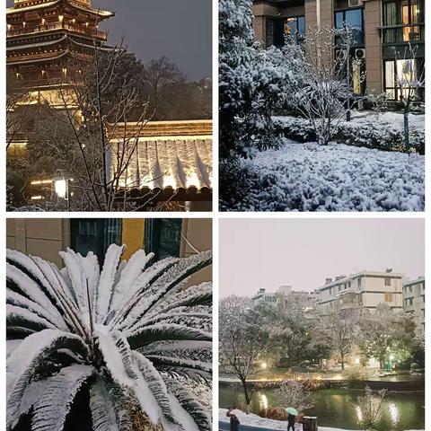 2024年的1月22日，一早起来，就见窗外飞舞着鹅毛大雪，咦…下雪了，感觉不怎么冷，飘下的雪花，落地便化了，雪越越大，不一会树叶积雪了，公园凉亭瓦上积雪了，对面文昌阁显得格外挺立…