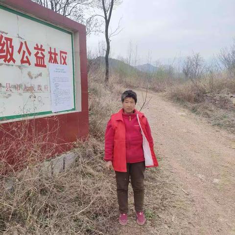 界地村搞好森林防火工作