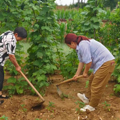 绿意盎然·爱满心田——石泉县池河小学留守儿童五爱劳动基地之夏