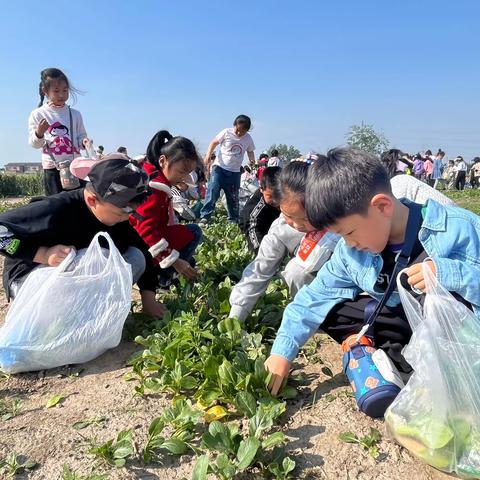 泗阳县实验小学“运河娃 走运河”一年级研学实践活动
