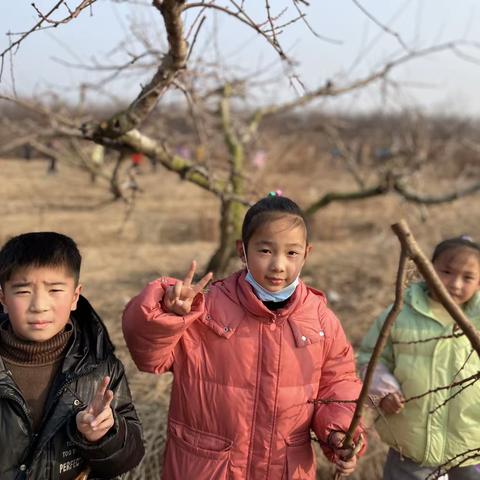 我为桃树捡枝桠——泗阳县实验小学二年级2部劳动实践