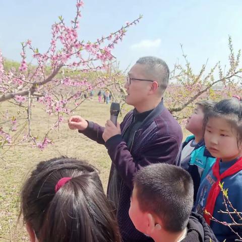 拥抱春天 赏桃花——泗阳县实验小学二年级2部劳动实践