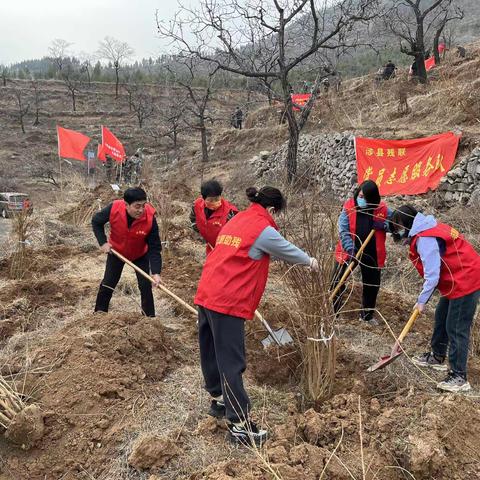 涉县残联积极参加义务植树活动