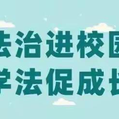 【争一流•当冠军】——宣化区胜利路小学少先队员走进宣化区法院法警大队开展“法治进校园，学法促成长”主题教育活动