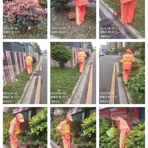 龙华街道城市管家项目 2023年4月30日 工作汇报