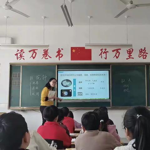 教研花开，如沐春风——记前杨坟小学第四次教研活动