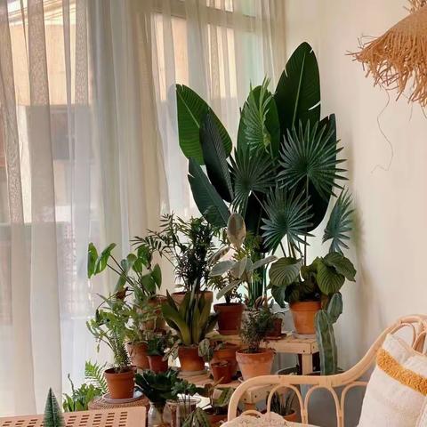 女神节快乐——肥城市实验幼儿园西园桃花七班手工活动小课堂