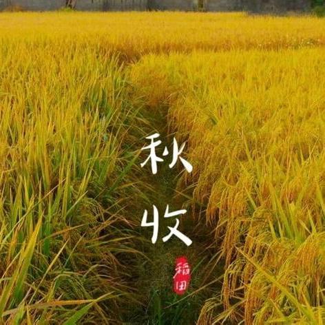 学农实践，让成长扎根 ——兴业县山心镇第二初级中学2301班