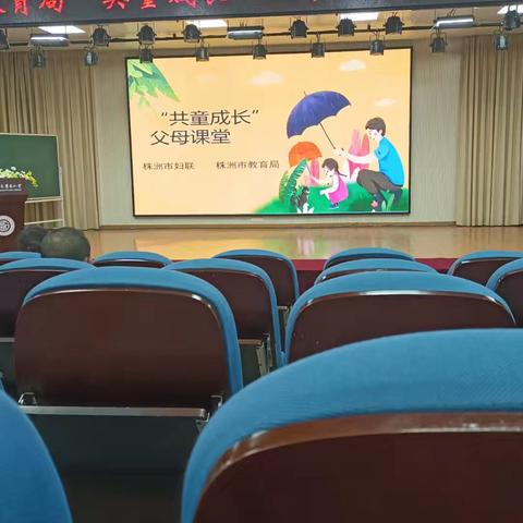 喝可乐的猫的简篇