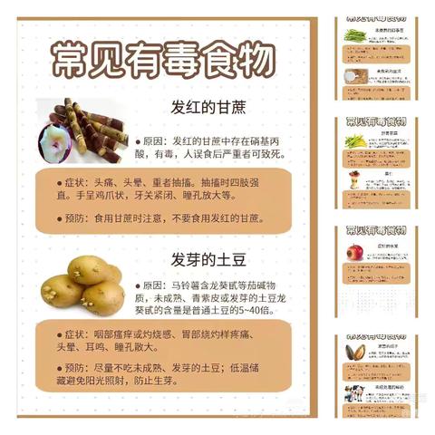 【十二幼·小二班】——《舌尖上的安全》主题教育活动