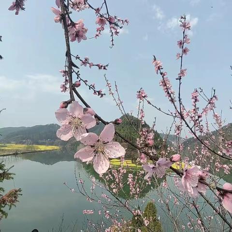 和婉引导，为每一个孩子打开思维之门 ——  地质中学  初三语文组   胡铮良