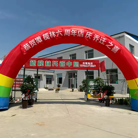 橄榄林暑假托管开始报名了