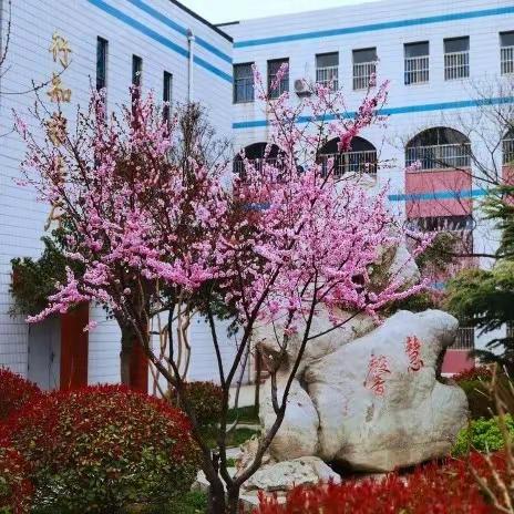 家校携手，共创未来——聊城市实验中学2021级家长会暨地、生中考备考指导会