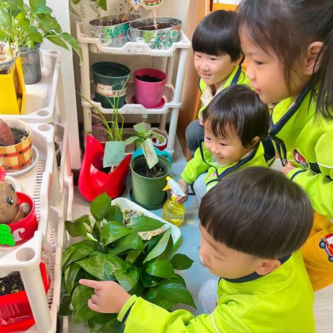 秋天农趣 ，“植”得等待 ——小豆班种植活动纪实