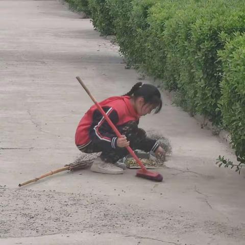 群力小学巩卫小结