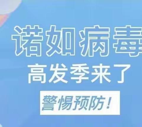 预防诺如病毒🦠，呵护幼儿健康——新安镇王善庄中心幼儿园