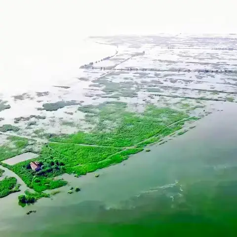 洞庭大堤外——广袤的君山湖区——芦荡深处 —— 孤独小屋
