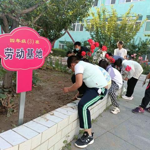 感受劳动之美 共享劳动快乐——遵化市第四实验小学我们的劳动基地