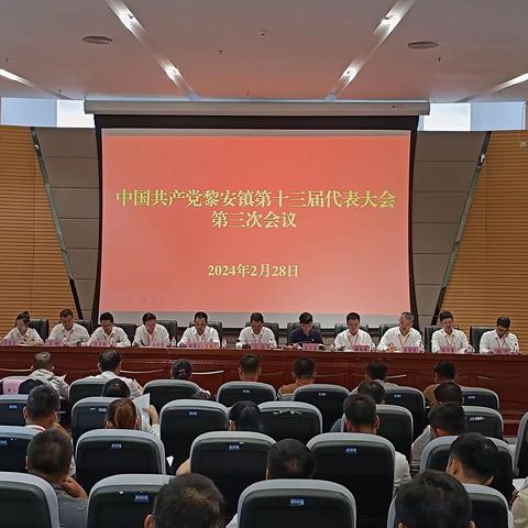 中国共产党黎安镇第十三届代表大会第三次会议胜利召开