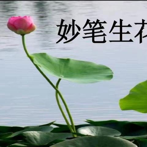 作文竞赛展风采  妙笔生花抒真情 ——天水市建设路二小学举行片段﻿作文大赛活动