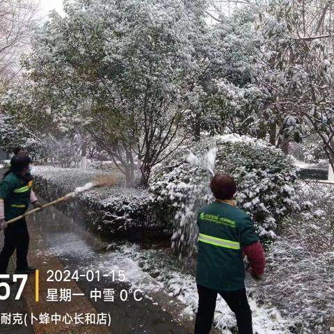 清理苗木积雪，还原绿植本色！