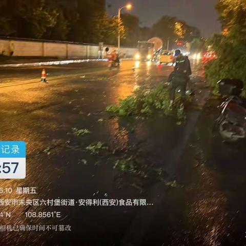 突遇短时极端大风降雨天气  经开区城管局及时清理倒伏树木消除安全隐