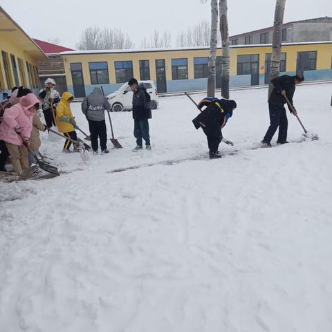 雪满校园路，温暖至人心——记录前东毗小学师生扫雪