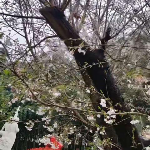 深耕细研齐成长  共谱课堂新美篇     ___记永城市第二小学五六年级数学互听课