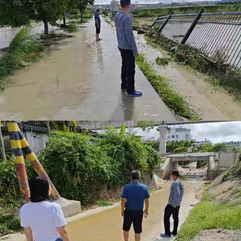 南滨居强降雨气候防御工作情况