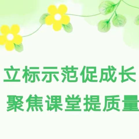 立标示范促成长，聚焦课堂提质量——何楼中心校达标课系列活动之一