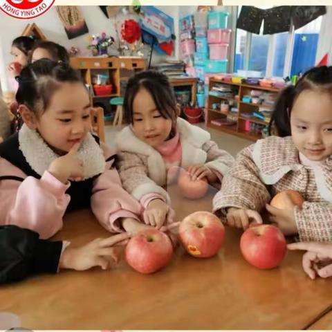 江苏红婴淘红枫幼儿园大二班—《苹果🍎一家亲》