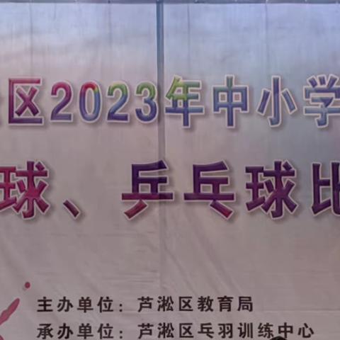 “羽”你同行 “乒”出精彩——2023年芦淞区中小学乒乓球、羽毛球比赛