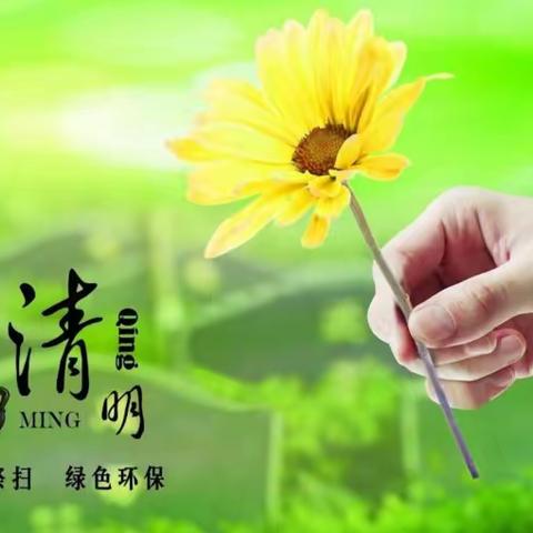 博学小学五(1)班清明节假前的安全教育及致家长一封信