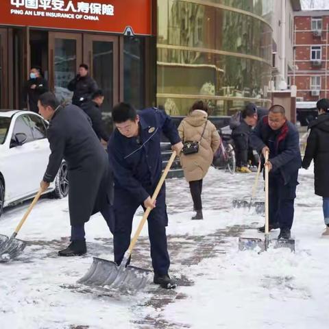 “以雪为令、即下即清”