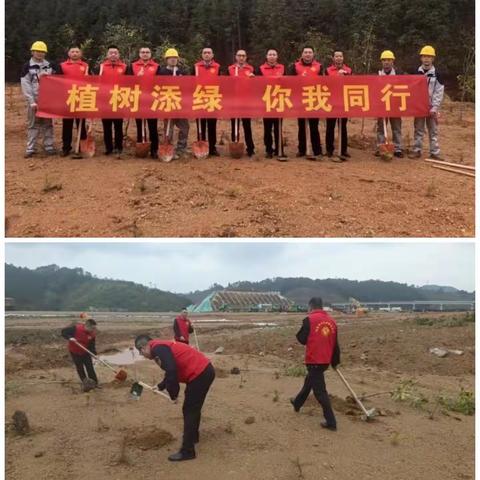 不负春光添新绿 植树增色正当时丨沙南高速公路（南平段）工程各合同段积极开展义务植树活动