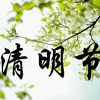 清明节【朵朵班】