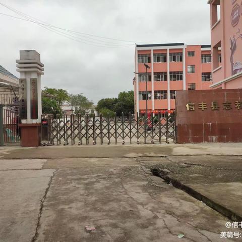 读懂“一号检察建议”和“强制报告”制度