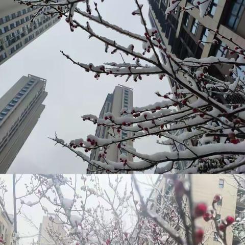 皖投天下名筑2024年2月17日—2024年2月23日   周工作报告