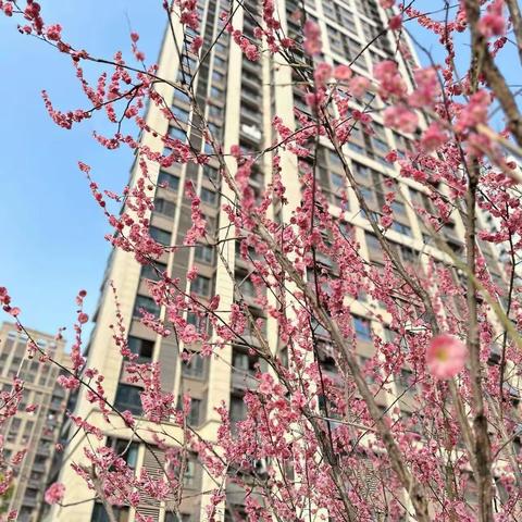 皖投天下名筑2024年3月16日—2024年3月22日   周工作报告