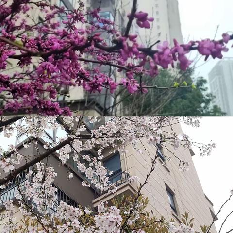 皖投天下名筑2024年3月23-2024年3月29  周工作报告