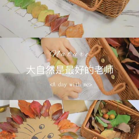 “金风送爽，一叶知秋”——记邵庄小学秋叶贴画活动